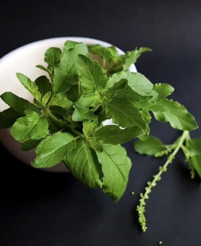 तलसी के पत्ते