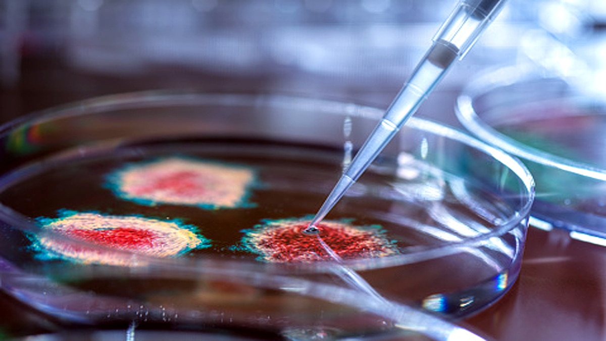 Vaccine Induced Antibodies less Effective against New Corona