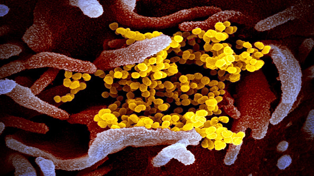 Vaccine Induced Antibodies less Effective against New Corona