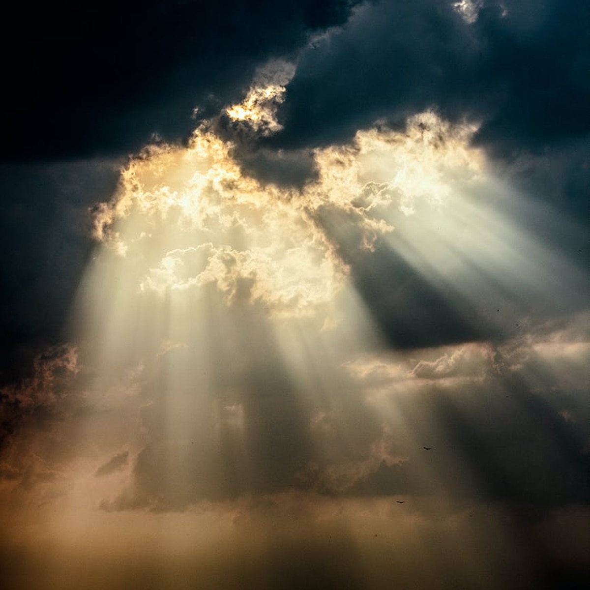 प्रतीकात्मक तस्वीर