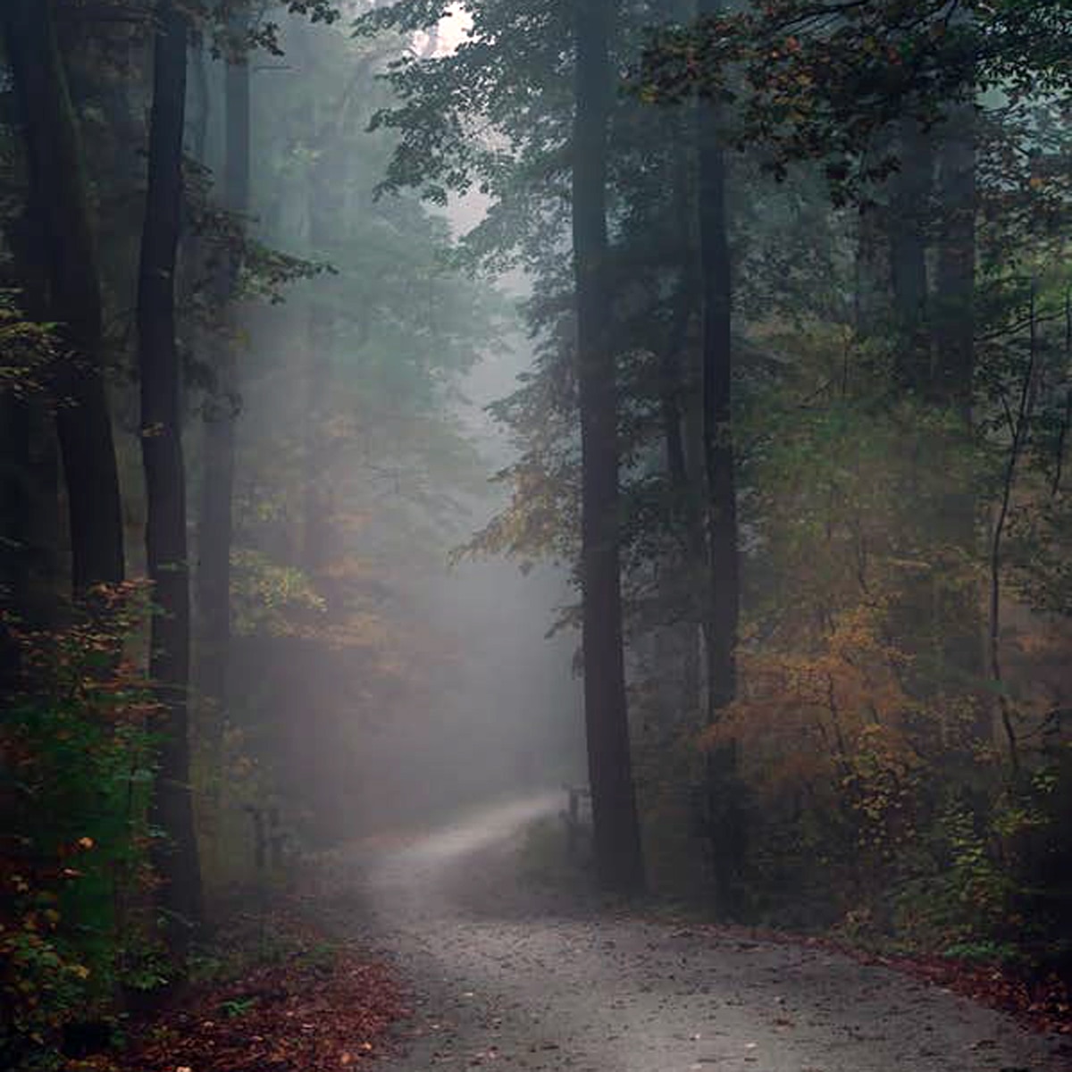 प्रतीकात्मक तस्वीर