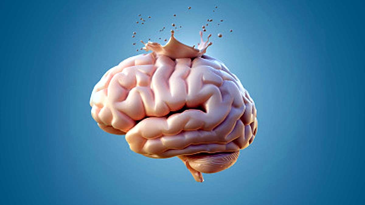 Why Human Brain is so Big?