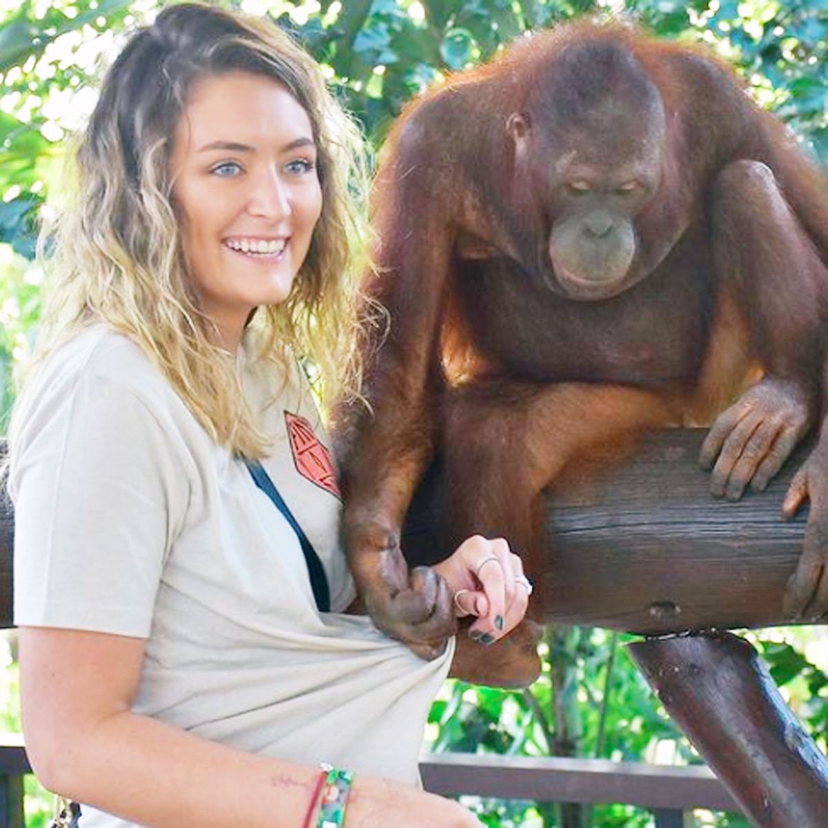 केलिन फिलिप्स