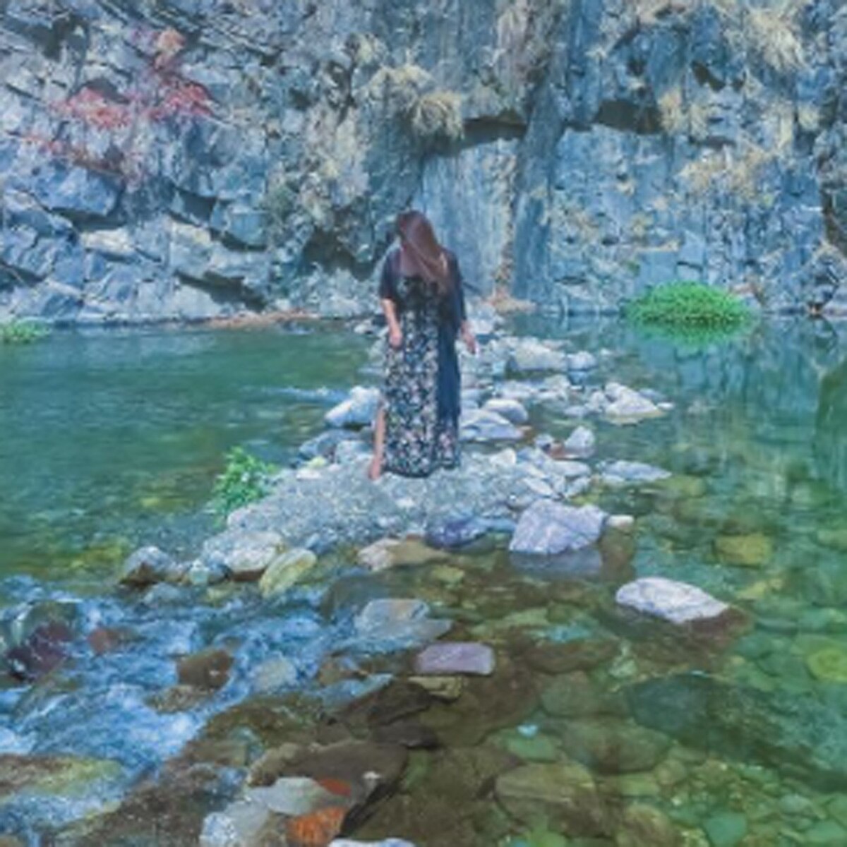 नेहा कक्कड़