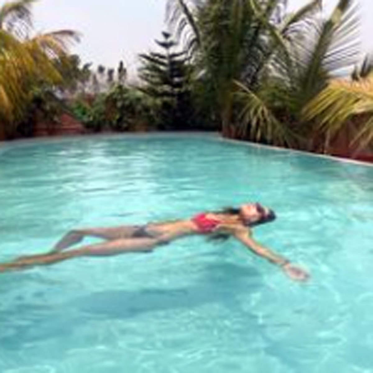 कृष्णा श्रॉफ