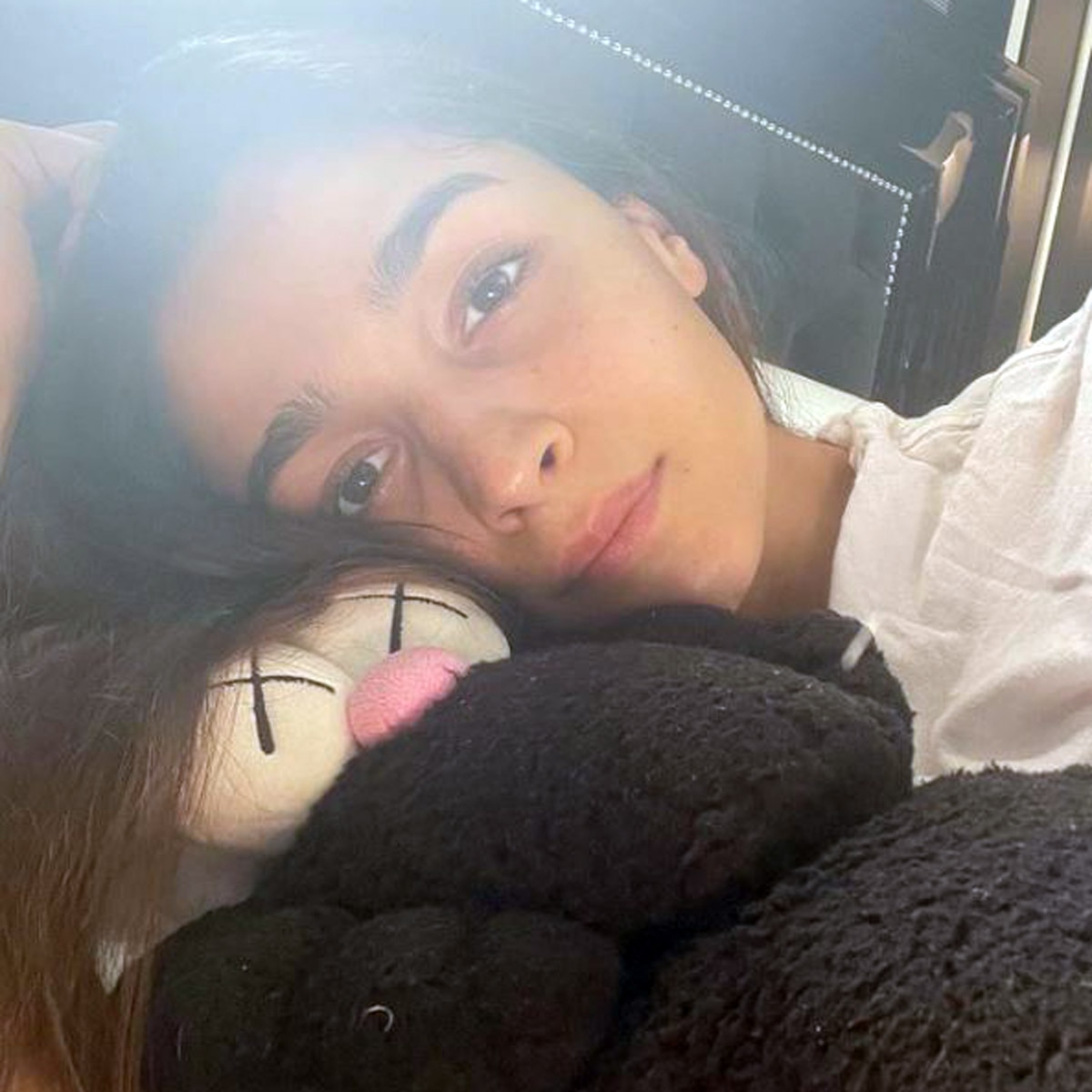 सेलेब्स