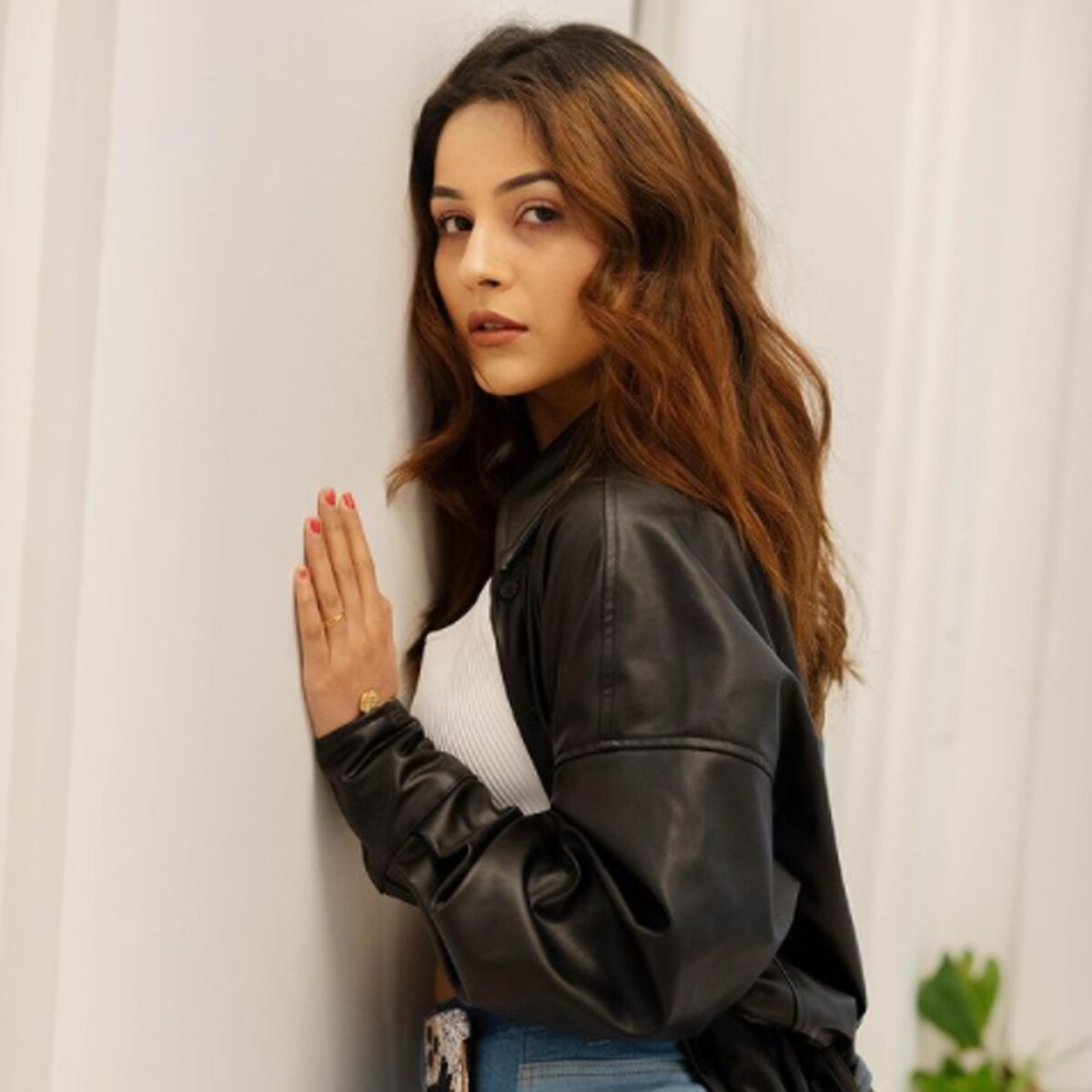 शहनाज गिल