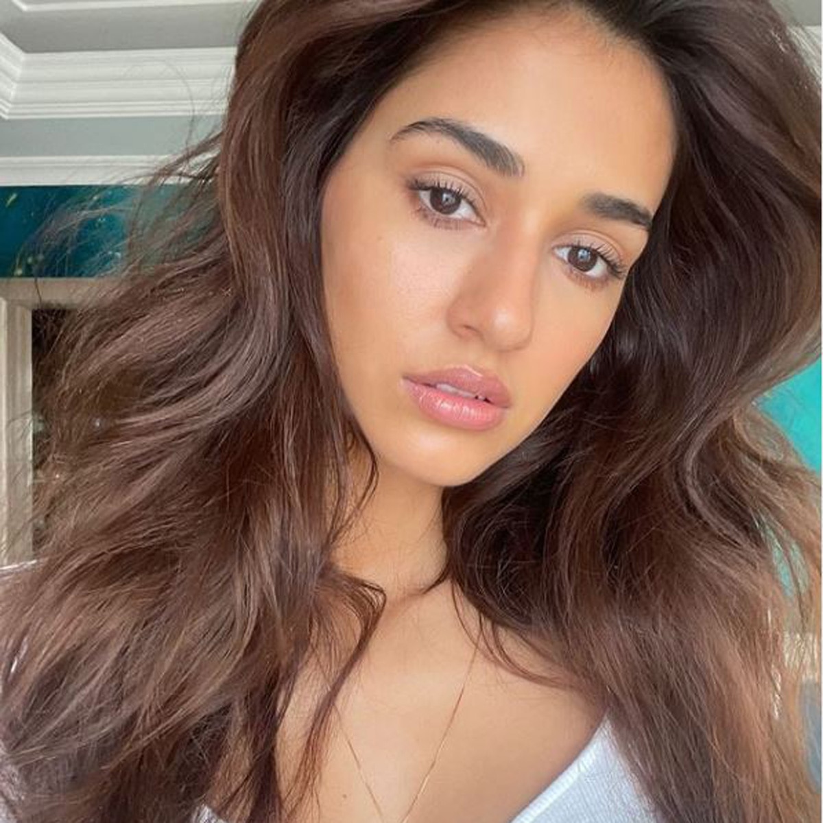 दिशा पाटनी