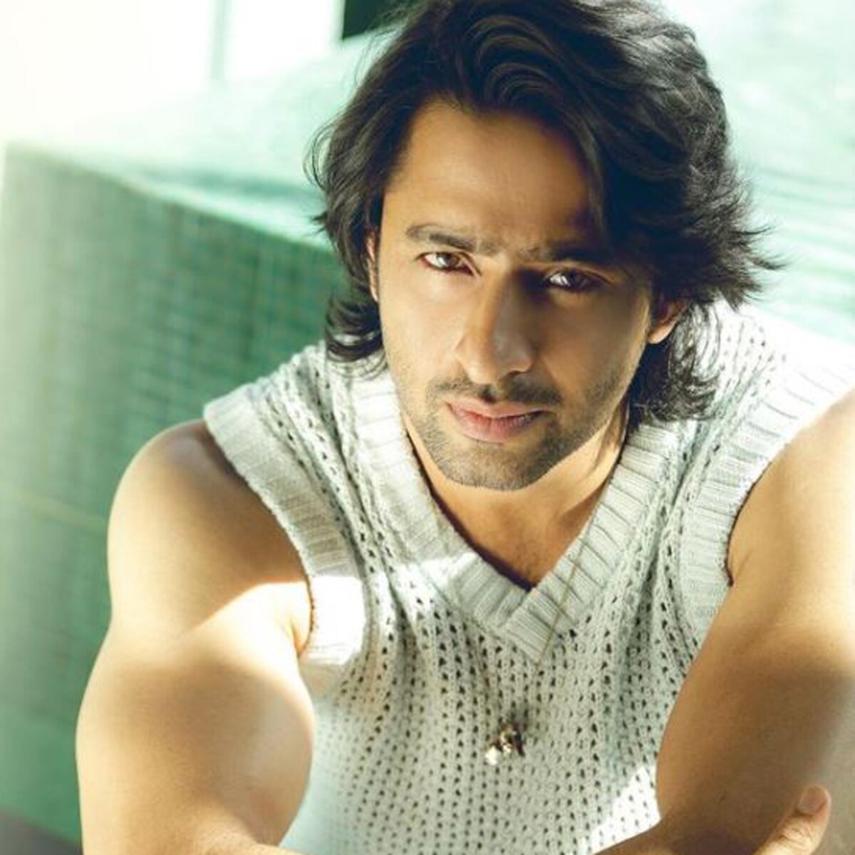 शाहीर शेख