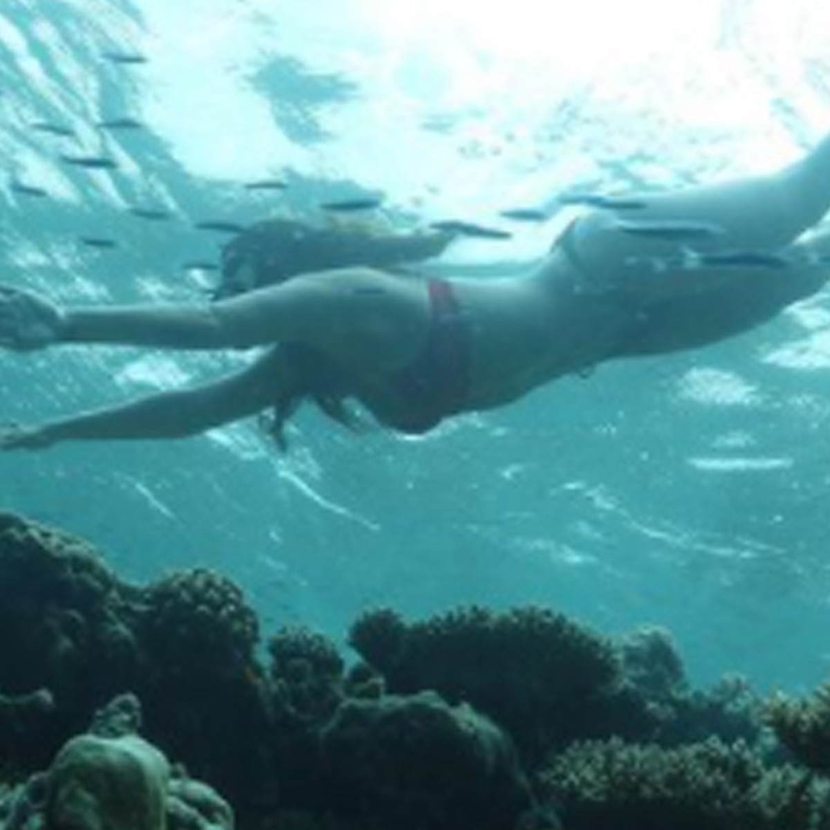 कृष्णा श्रॉफ