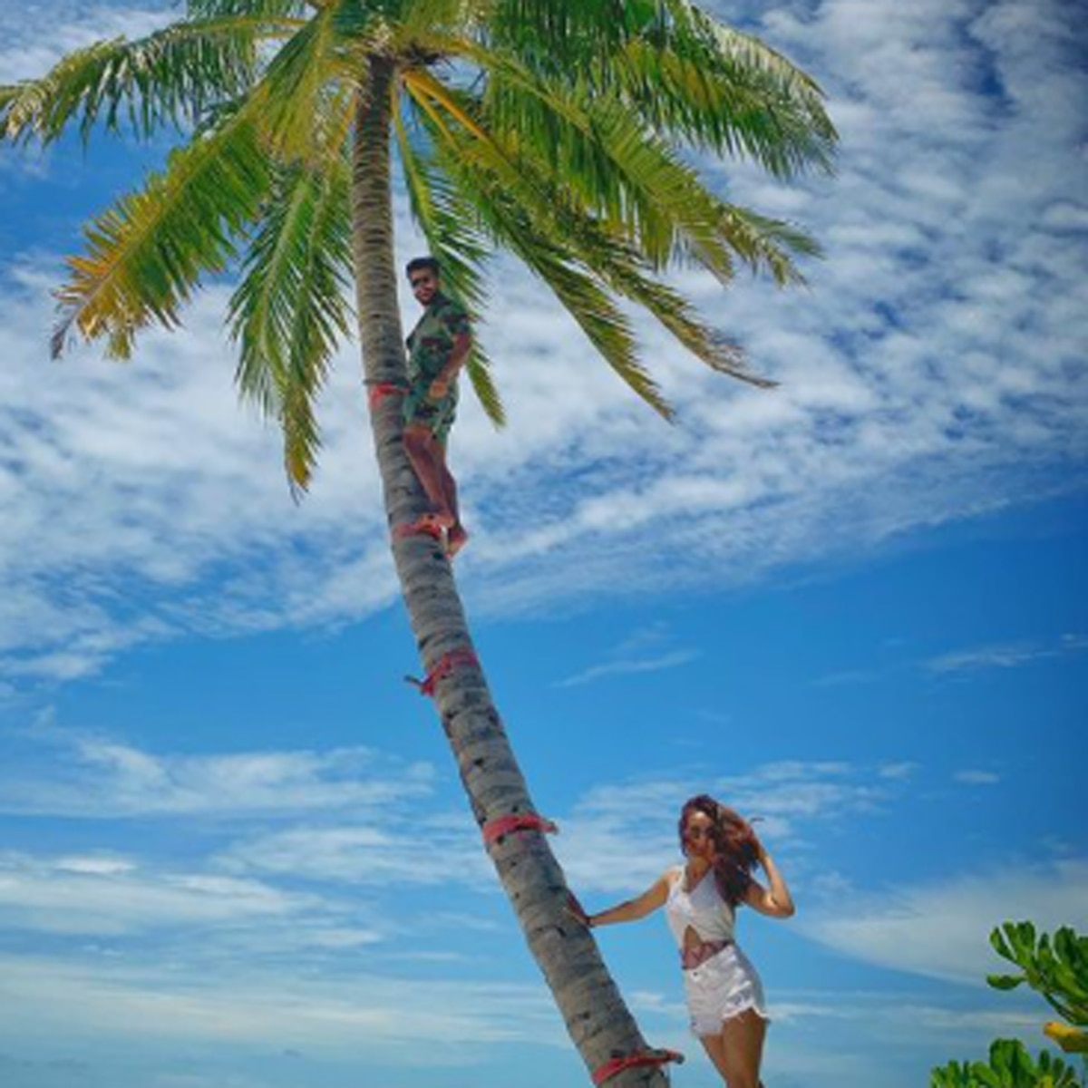 सुरभि ज्योति