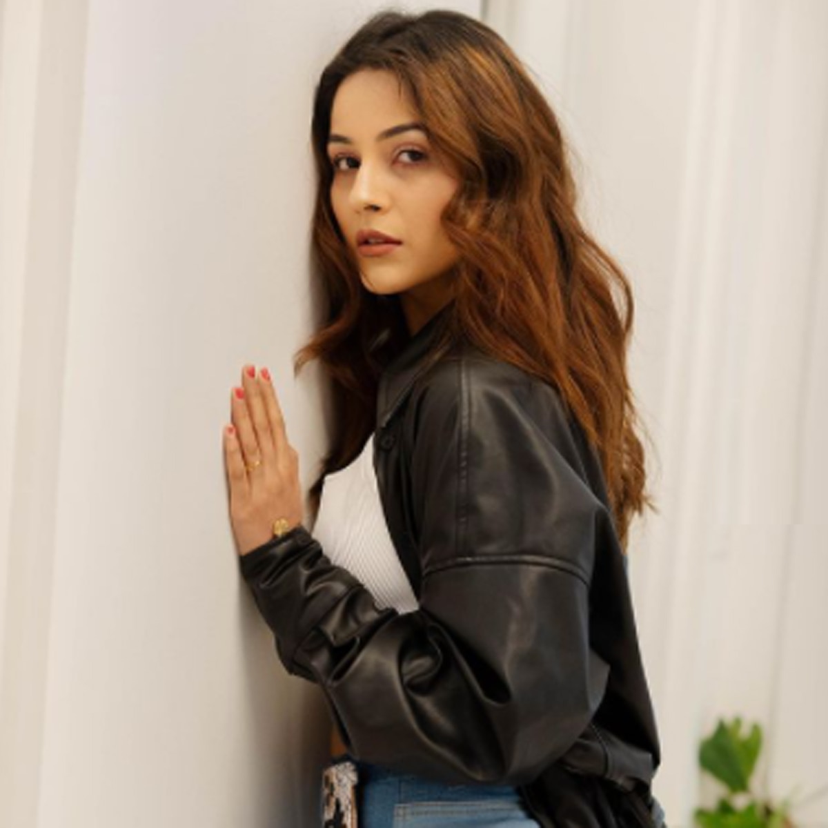 शहनाज गिल