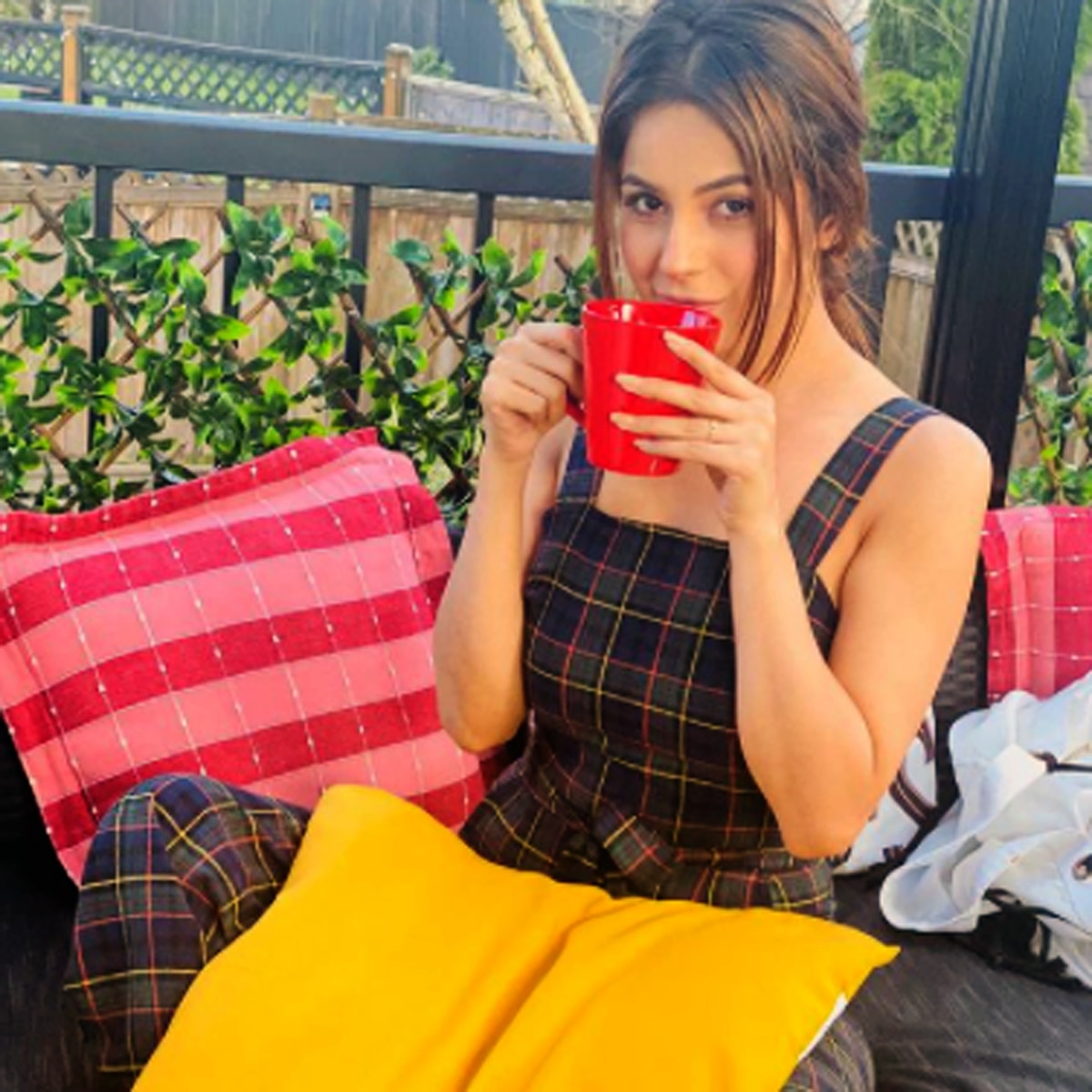 शहनाज गिल