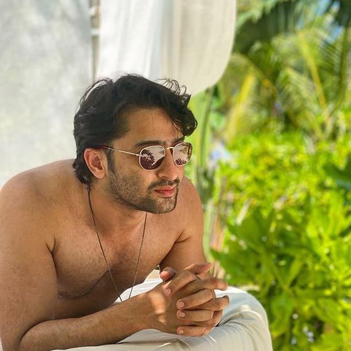 शाहीर शेख