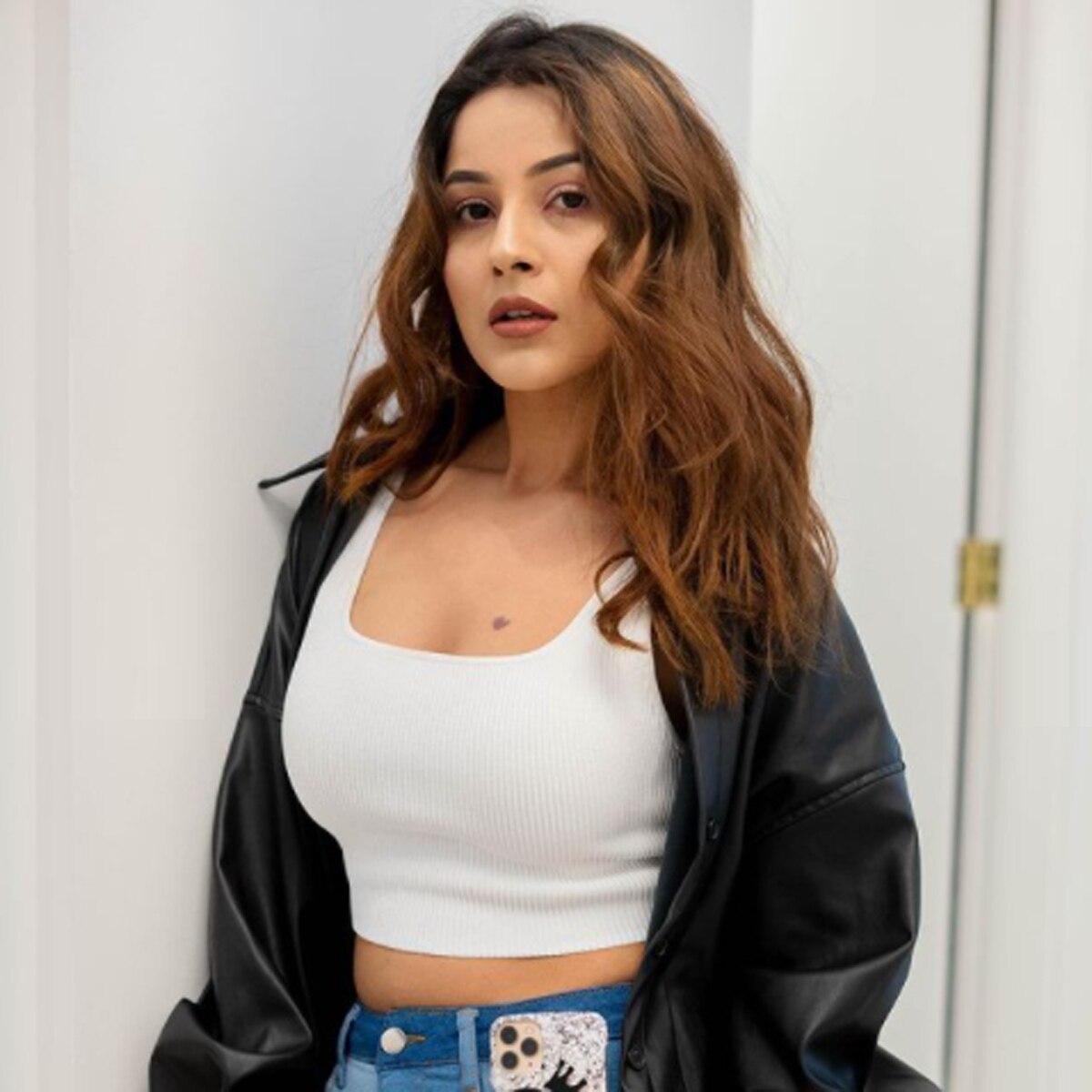 शहनाज गिल