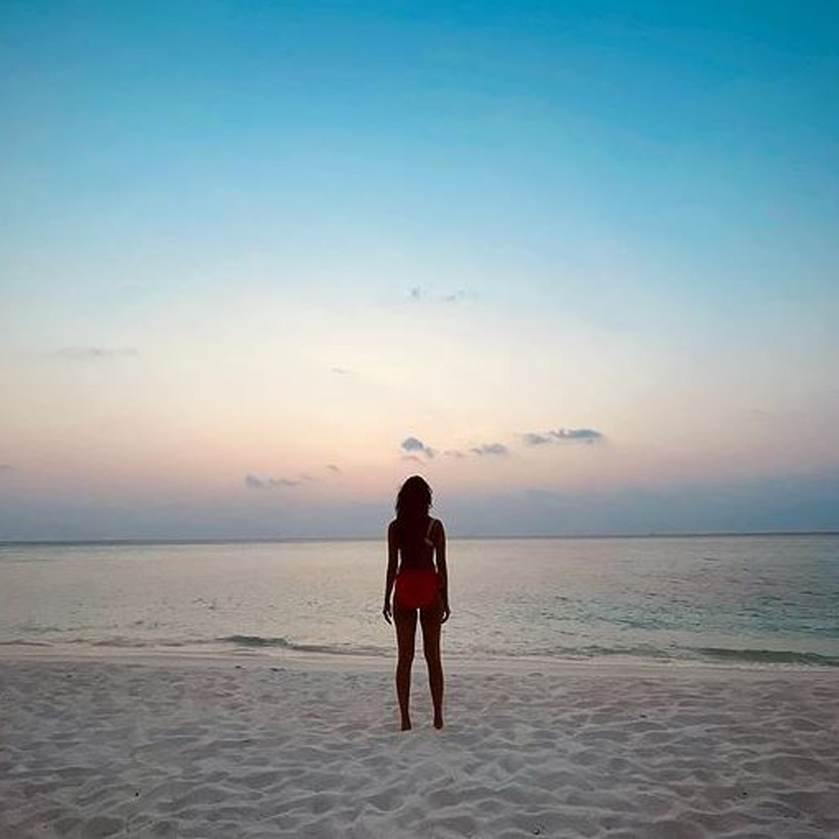 श्रद्धा कपूर