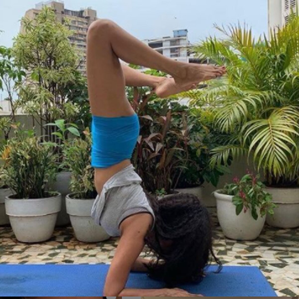 श्वेता शेट्टी 