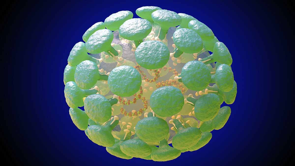 Coronavirus 25000 Years Ago 