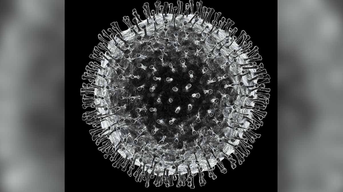 Coronavirus 25000 Years Ago 