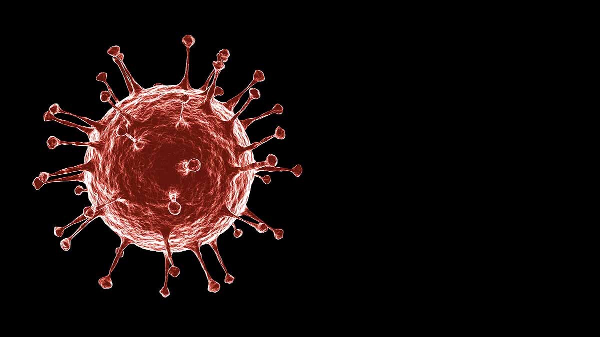 Coronavirus 25000 Years Ago 