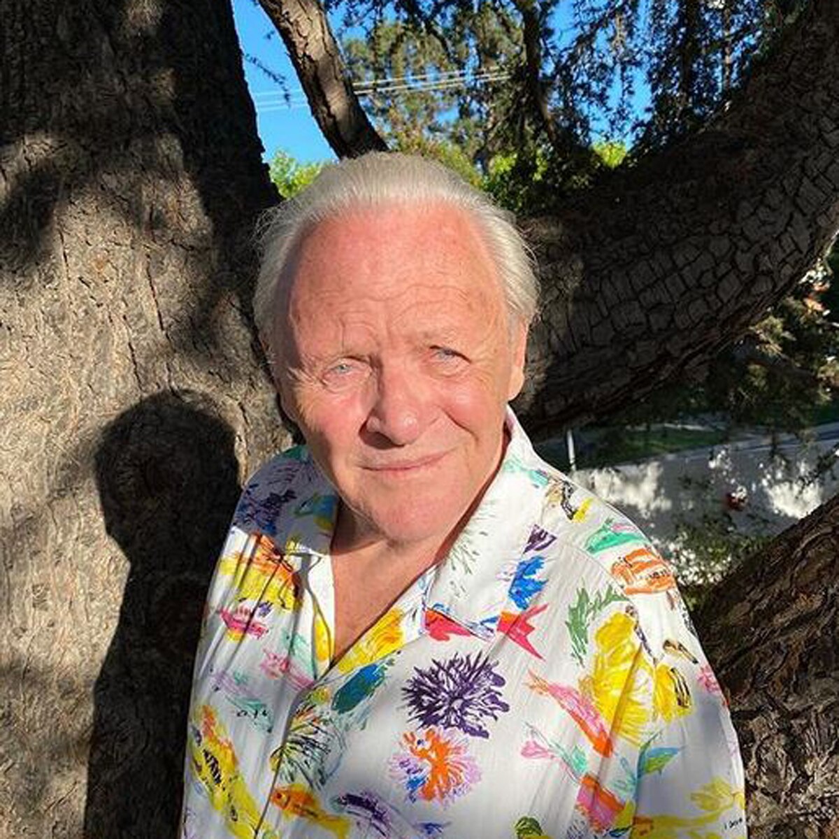  एंथनी हॉपकिंस