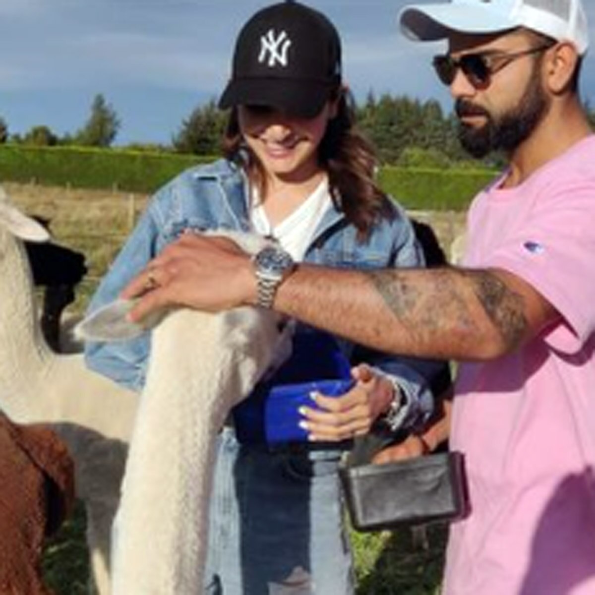 अनुष्का-विराट