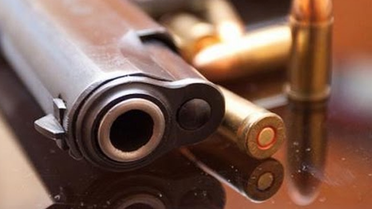  शादी में स्टेज पर नाच रही थी डांसर, हर्ष फायरिंग में शरीर में घुसीं 2 गोल‍ियां 