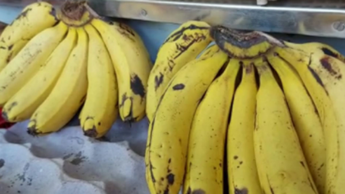 कोरोना काल में फलों के दामों में भारी उछाल 