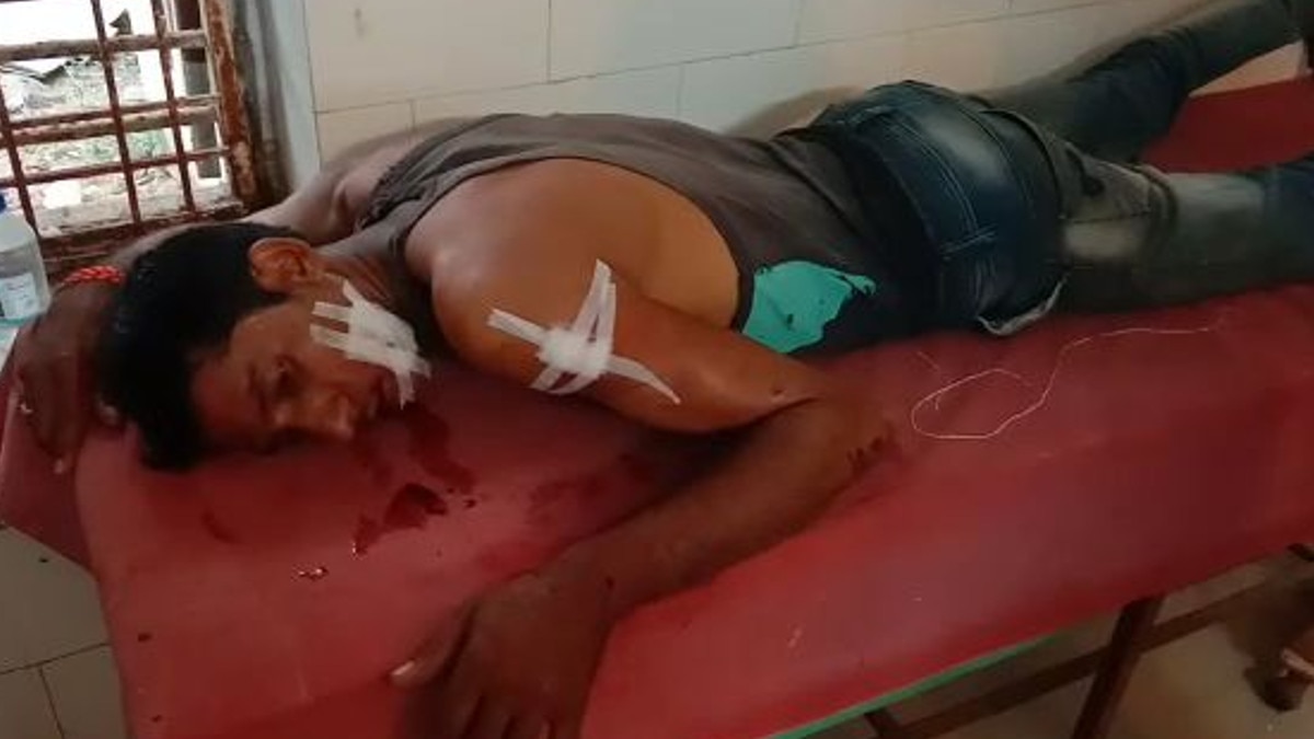 बाघिन के जबड़ों में फंसा था माल‍िक, भैंसों ने म‍िलकर बचाई जान