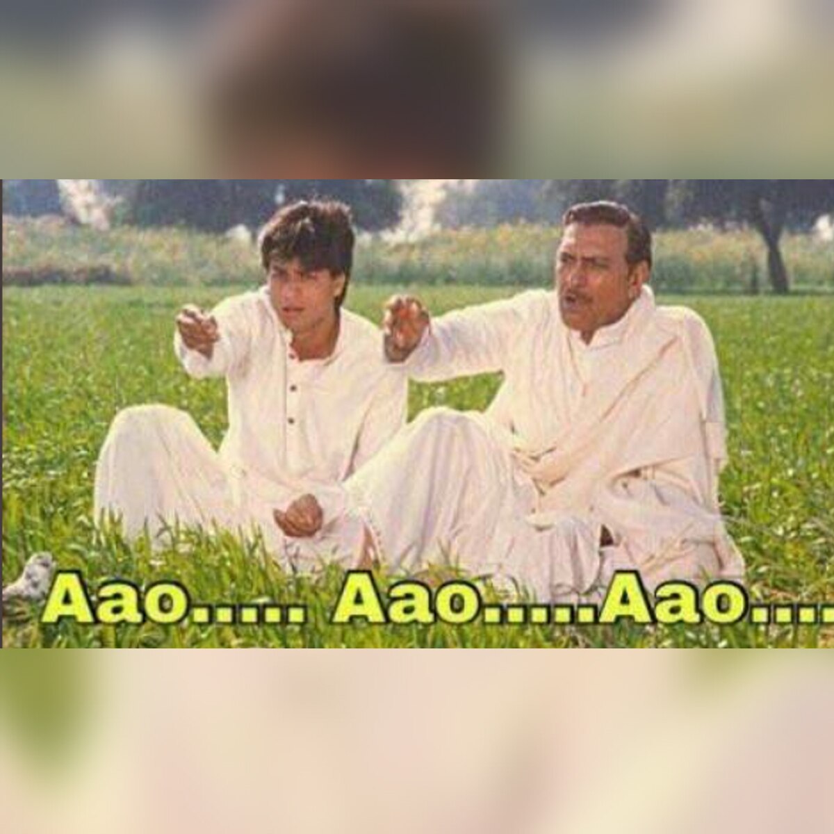 वायरल मीम