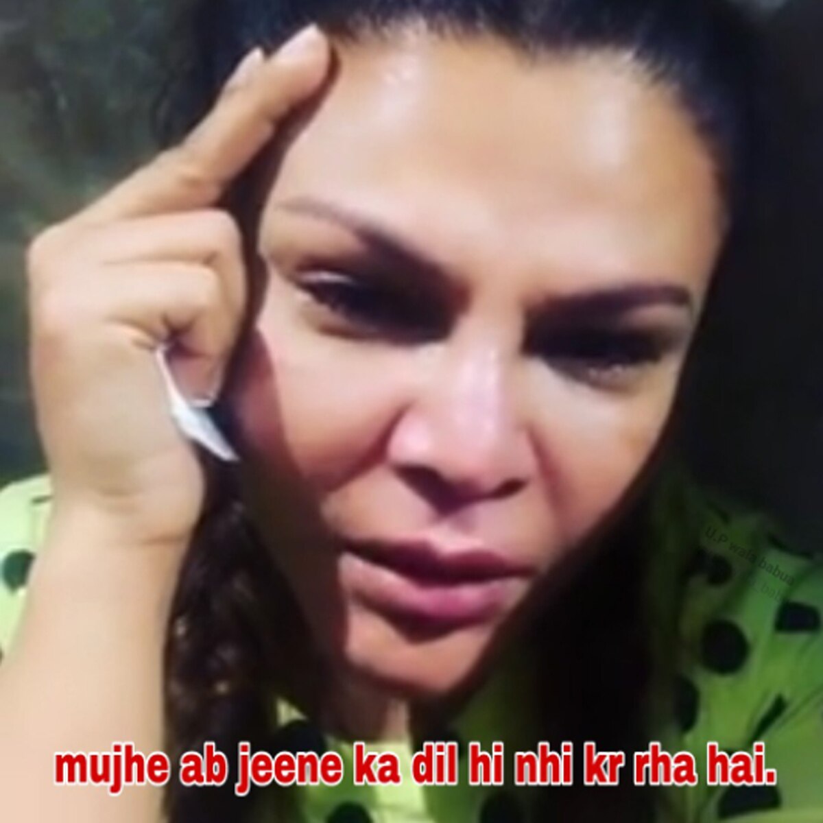 वायरल मीम