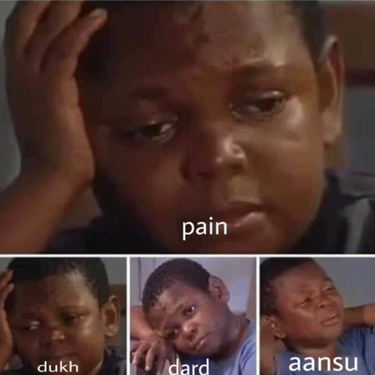 वायरल मीम