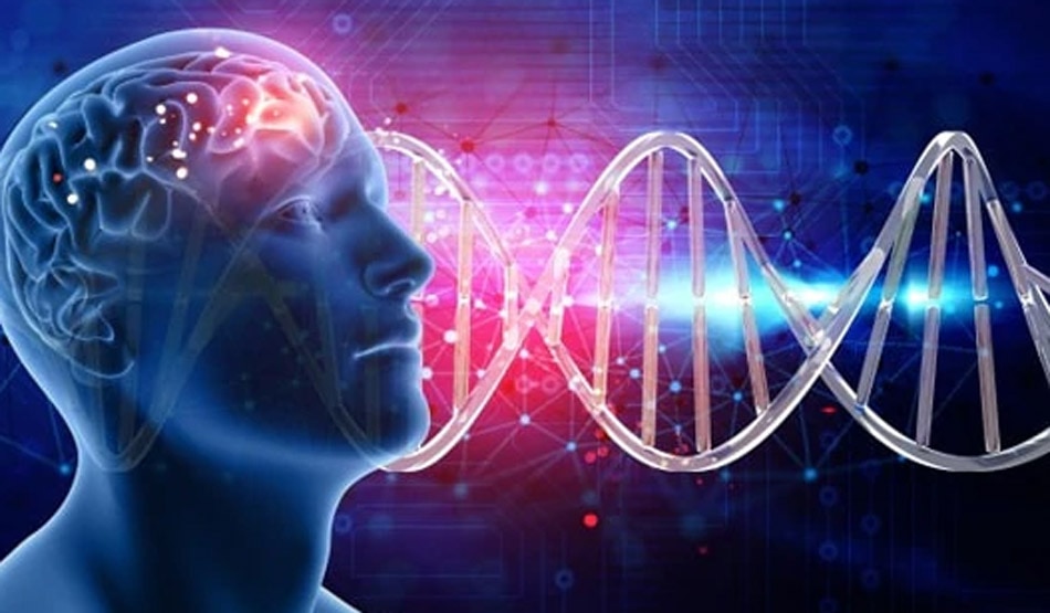 स्प्लेनचिन वेन थ्रोम्बोसिस