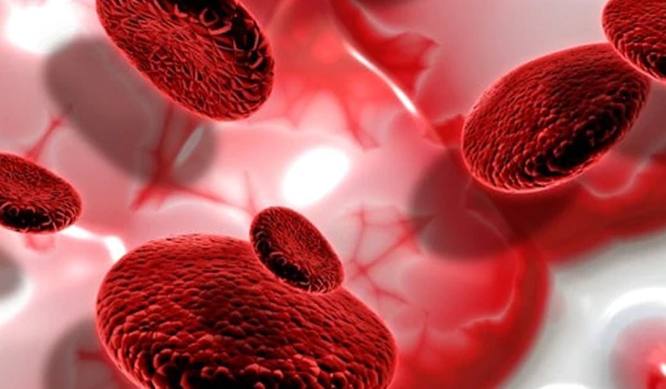 विभिन्न ब्लड क्लॉट