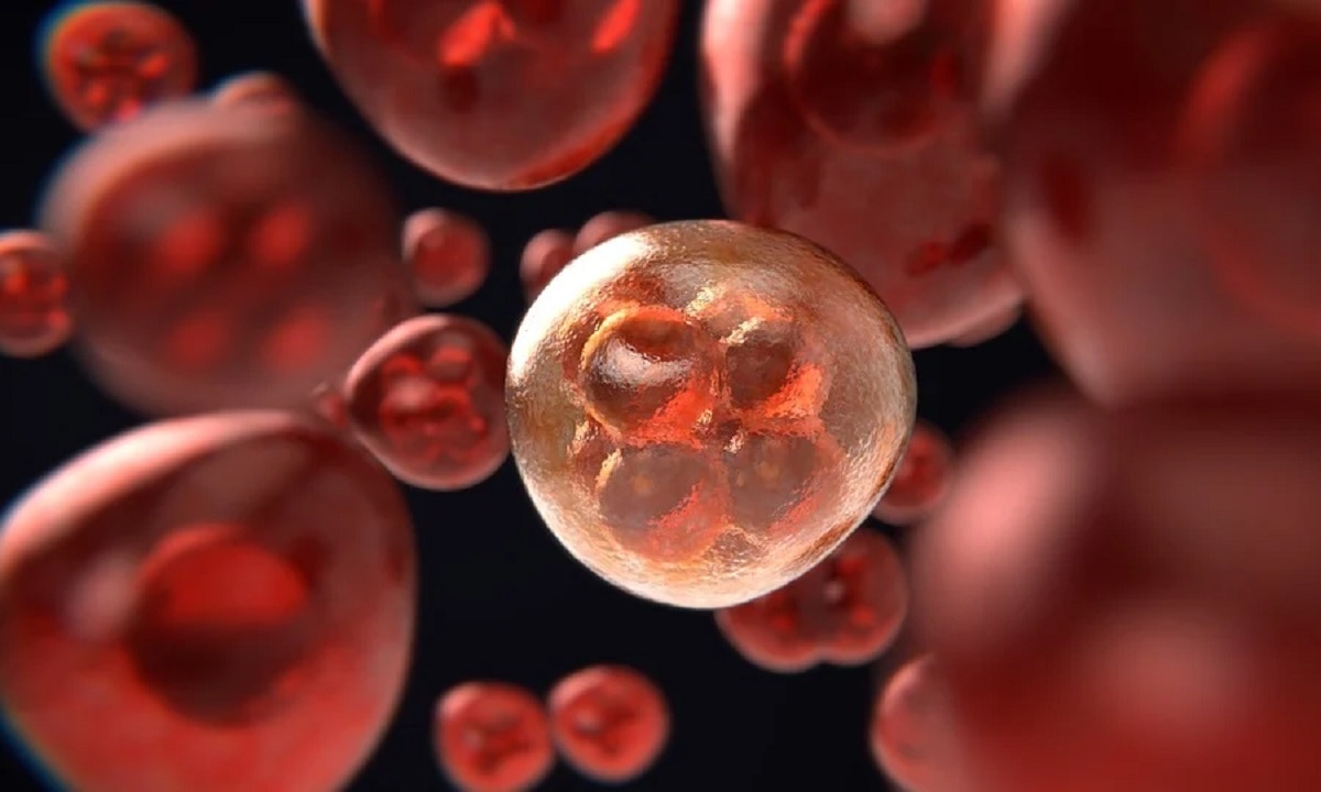 ब्लड कैंसर के लक्षण 3