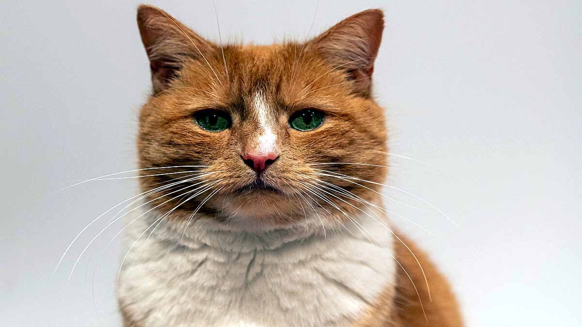 Invasive Species causing crores of Damages