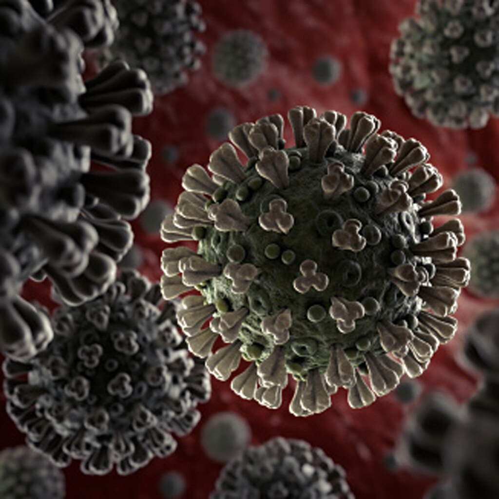 double mutant COVID-19 variant