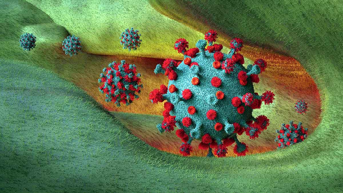 Indian Coronavirus Variant