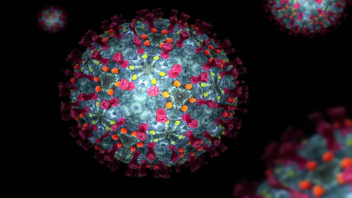 Indian Coronavirus Variant