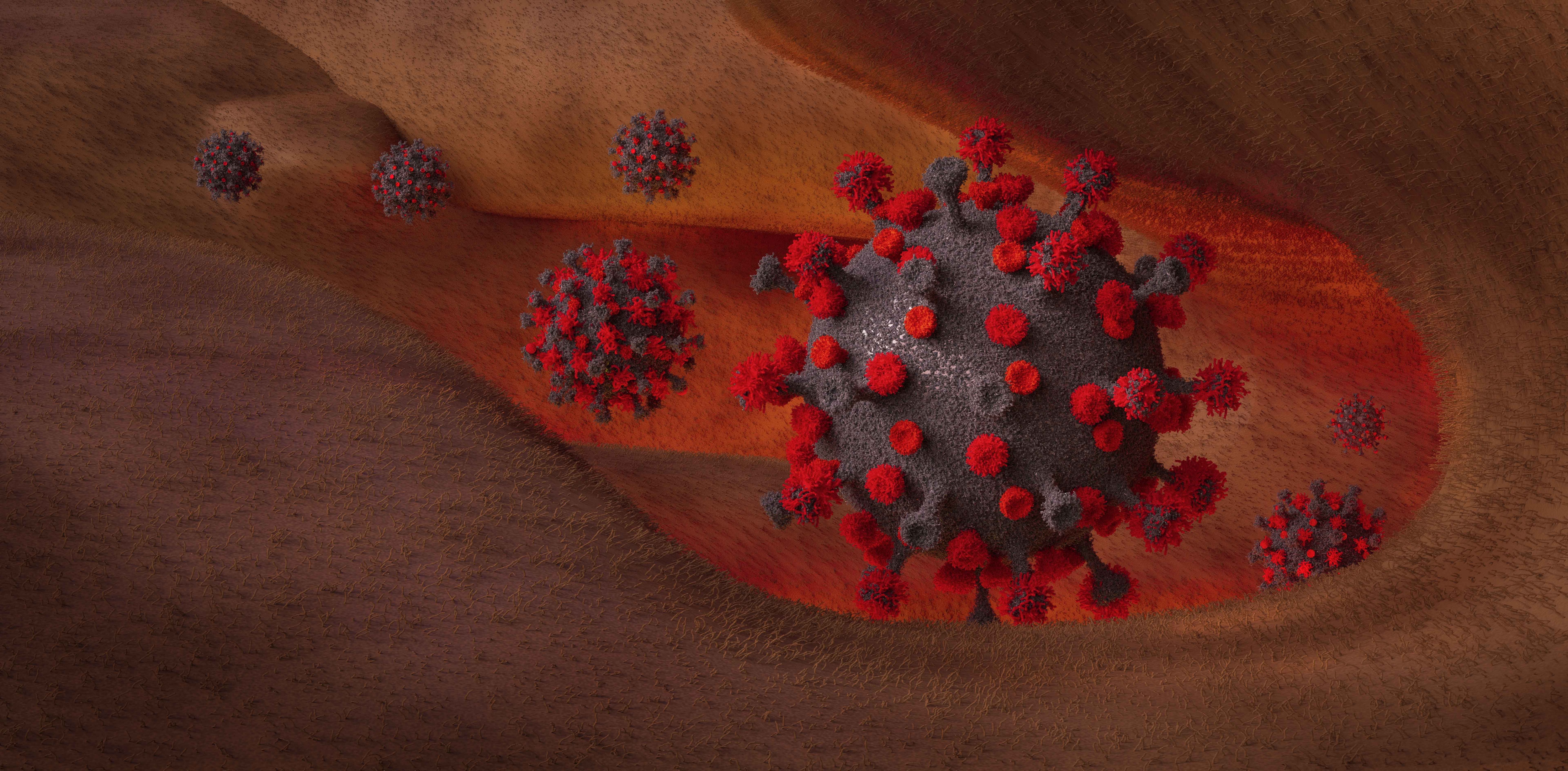  double mutant COVID-19 variant