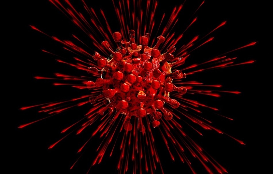 Coronavirus Second Wave 7