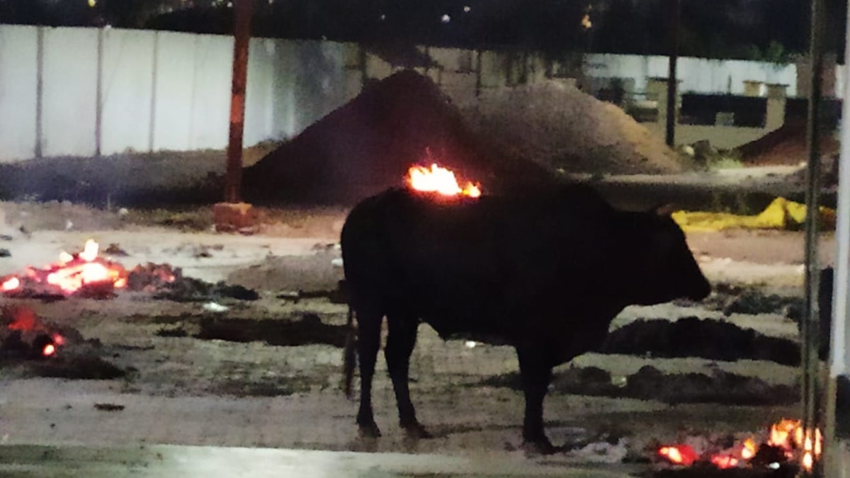 छत्तीसगढ़ के इस शहर में कोरोना ने मचाई बड़ी तबाही