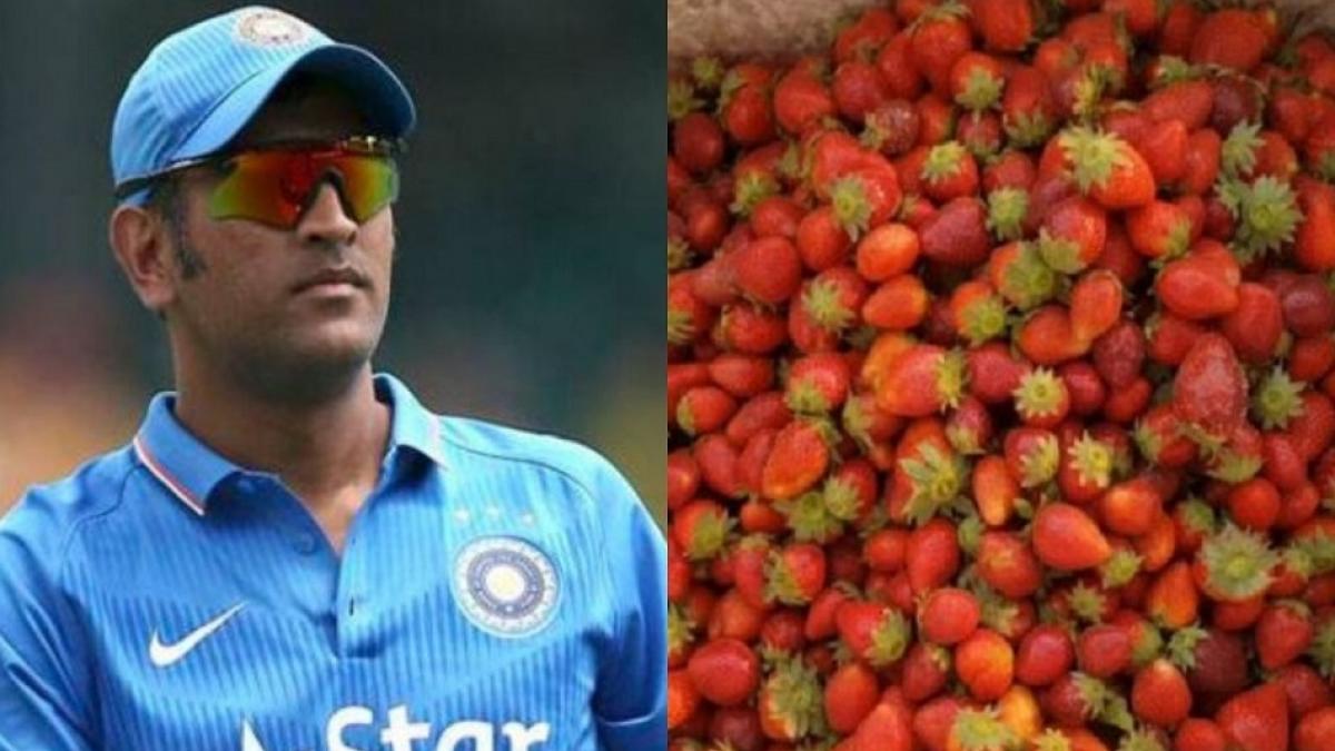 महेंद्र सिंह धोनी