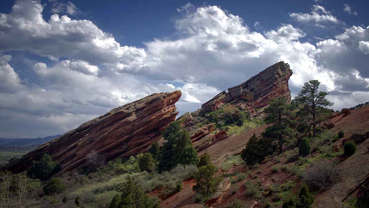 Dinosaurs Stomach Stone Reveals