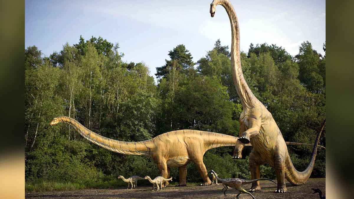 Dinosaurs Stomach Stone Reveals