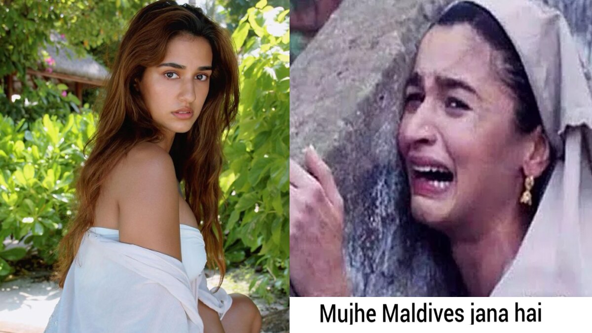 वायरल मीम