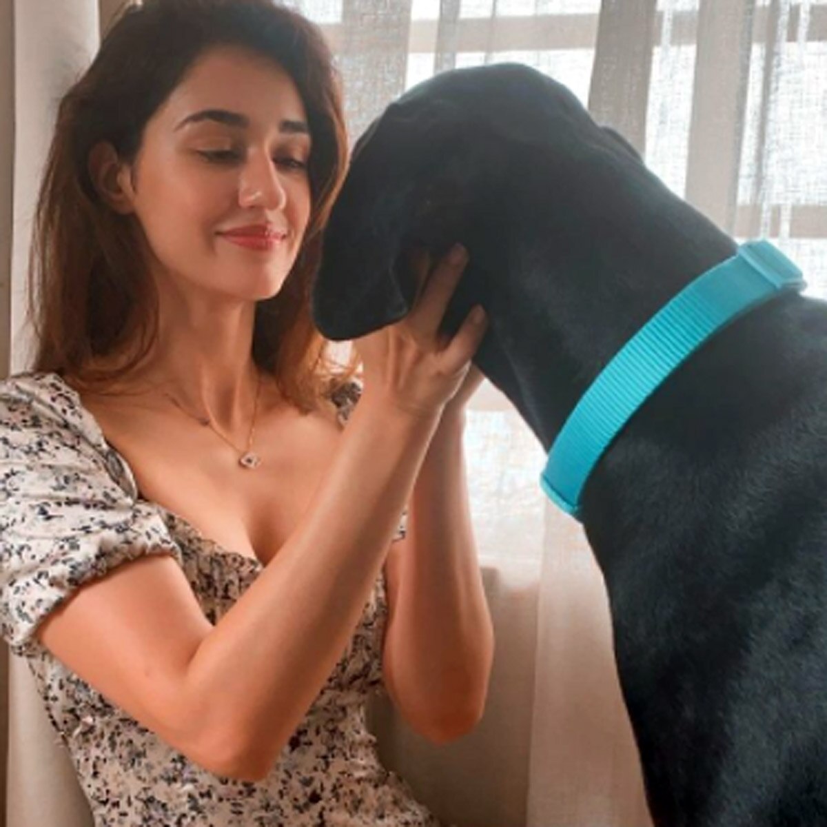 दिशा पाटनी