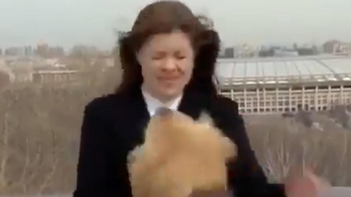 Dog grabbed reporter mic