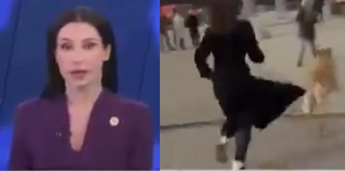 Dog grabbed reporter mic