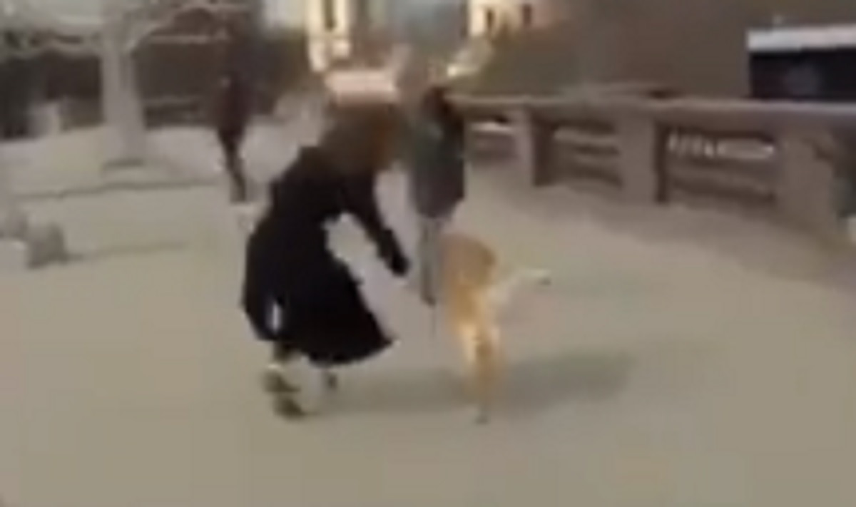 Dog grabbed reporter mic